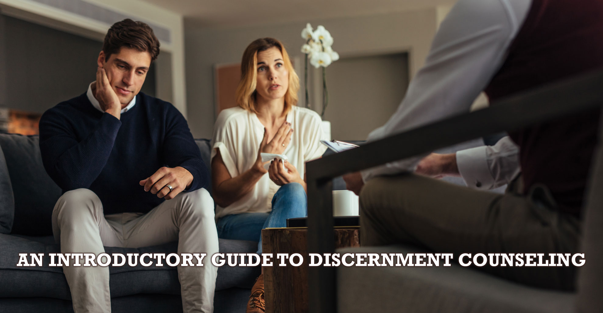 Discernment Counseling