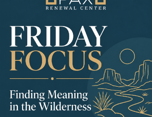 Friday Focus 🔎 desert | dawn | harmony