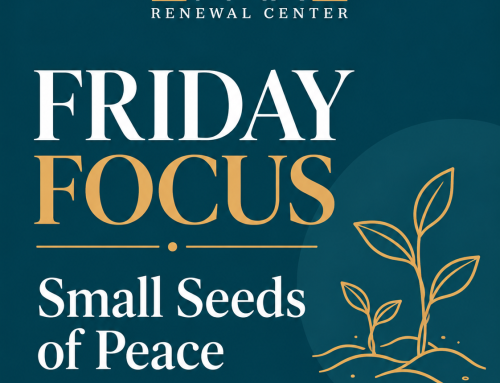 Friday Focus 🔎 gospel | harvest | wisdom